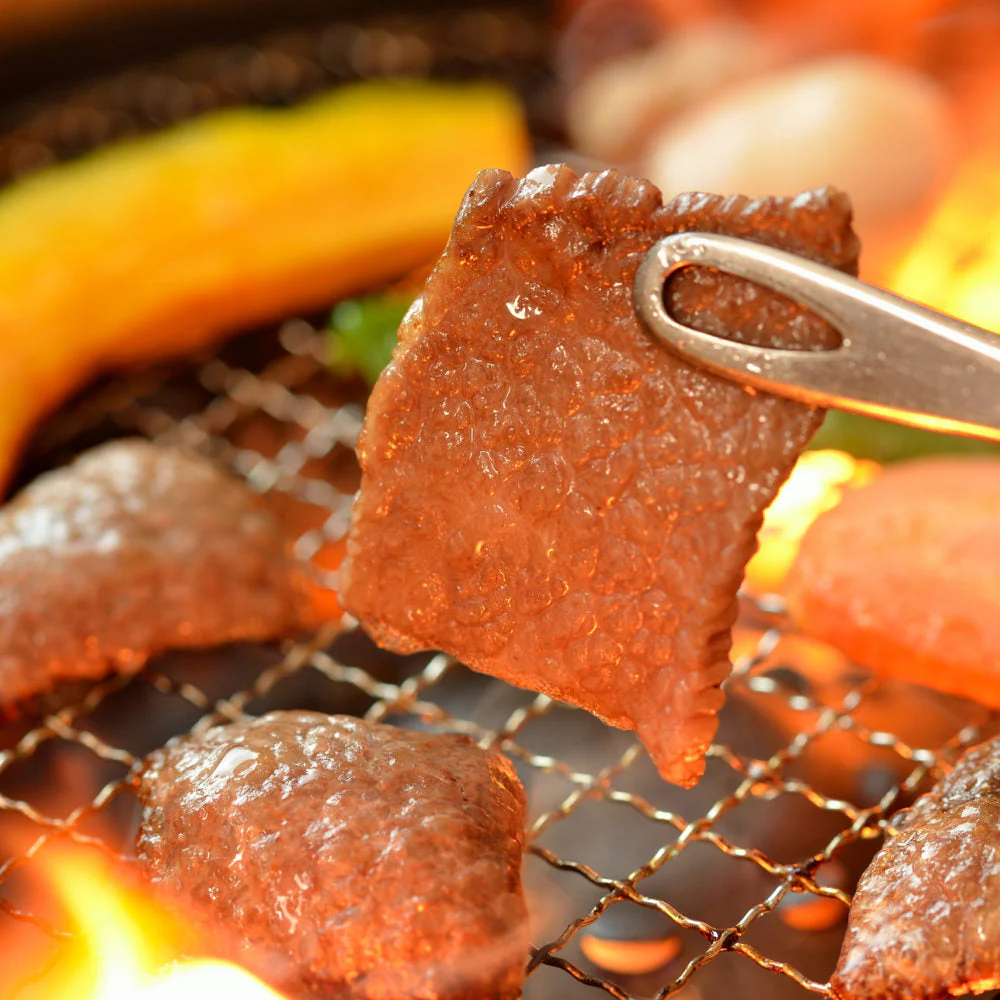 焼肉用  赤身 500g 宮崎県産 黒毛和牛 EMO牛（有田牛）