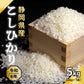 【白米】静岡県産 こしひかり 5kg