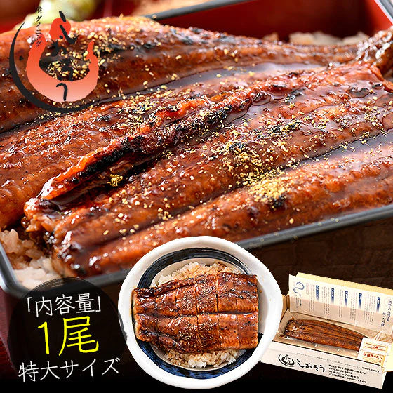 約200g×1尾 うなぎ 蒲焼き 無頭 国産 特大サイズ