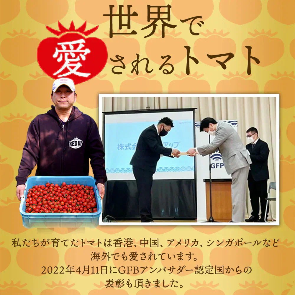 予約【１月前後から発送開始】お試し＼特別栽培農産物／ソムリエミニトマト　プラチナ　３９０ｇ