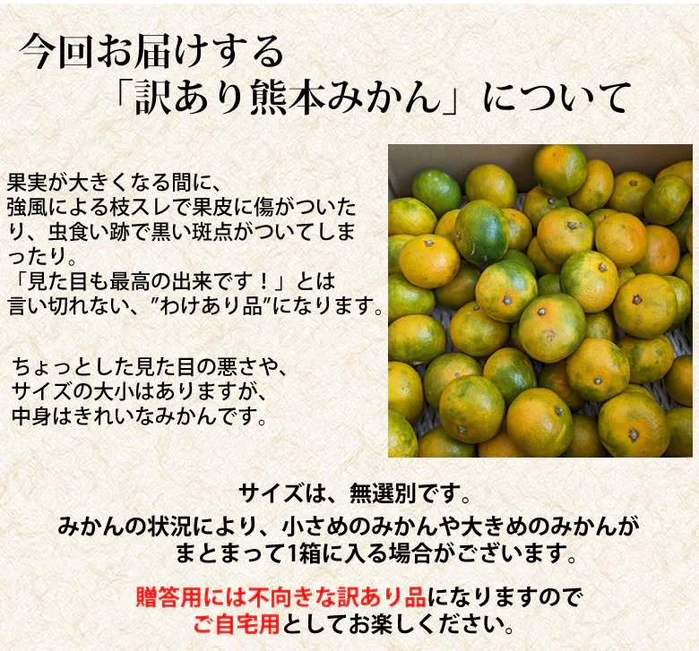 【10月上旬～中旬頃より順次出荷】みかん 5kg 送料無料 訳あり 箱込（内容量4kg＋補償分500g) 無選別 熊本みかん 極早生みかん 早生みかん 温州みかん蜜柑 ミカン