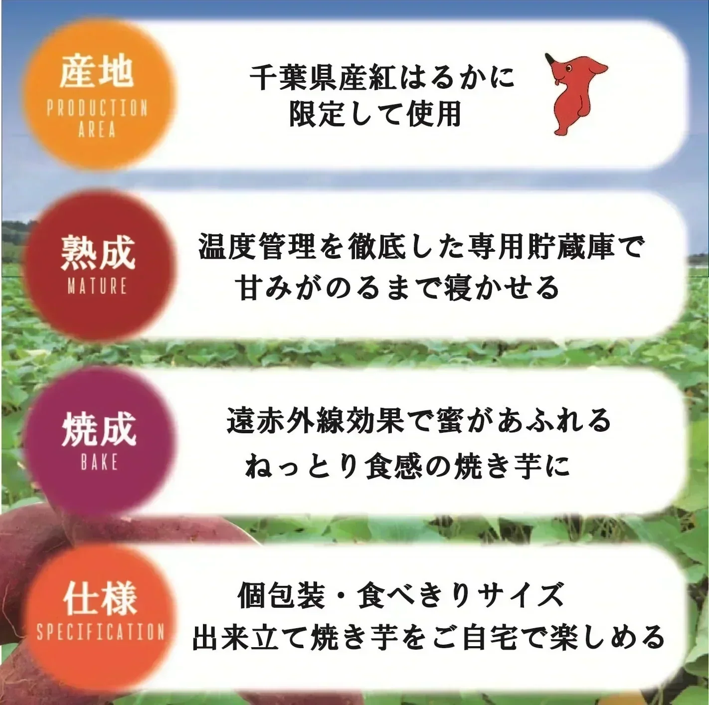 【出荷量10t突破！！房総蜜芋！！千葉県産紅はるか使用！！冷凍焼き芋！！2㎏！（500g×4袋）高糖度紅はるかをじっくり焼き上げました！】さつまいも　焼き芋　ねっとり美味しい クール便込で圧倒的価格　焼き芋2㎏大袋