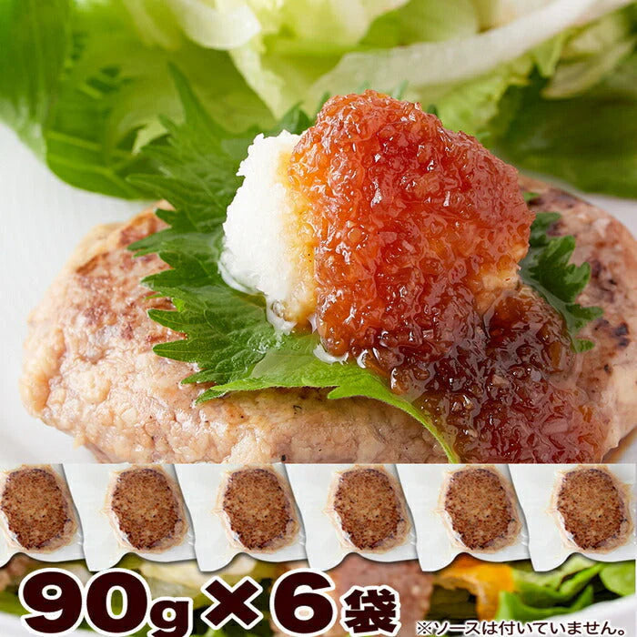 100％植物由来の新感覚 90g×6袋 ハンバーグ !!マンナン大豆 ミートハンバーグ メール便