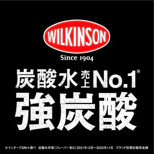 【期間限定特価】 ウィルキンソン 500ml 24本 2箱（計48本）炭酸水 強炭酸水 アサヒ飲料