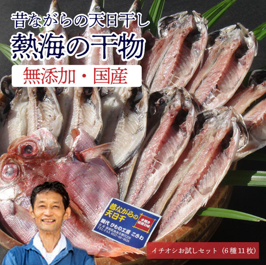 イチオシお試しセット（6種11枚）国産 無添加 熱海 干物セット 詰め合わせ 干物 おかず 真あじ干し さば塩干し あじしょう油干し さんましょう油干し 真いか一夜干し きんめ鯛干し えぼ鯛 かます さばしょう油干し