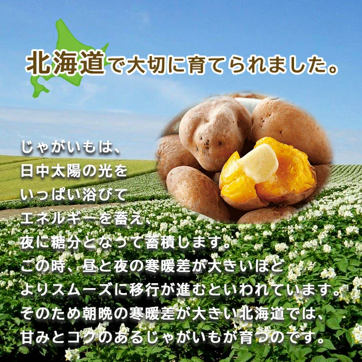 【終了】【10月中旬より順次出荷予定】北海道産 じゃがいも3種セット 9kg　男爵・キタアカリ(2Ｌ～Ｍ混)/各3kg、インカのめざめ(Ｌ～2Ｓ混)/3kg