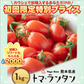 1kg  家族の笑顔が広がる完熟ミニトマト「トマランタン」【ご新規さん限定商品】