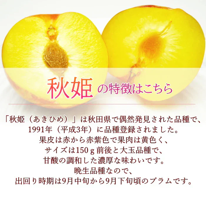秋姫(あきひめ)プラム 1.5kg前後 8-15玉前後 山形産 ギフト フルーツ 果物 くだもの プラム すもも