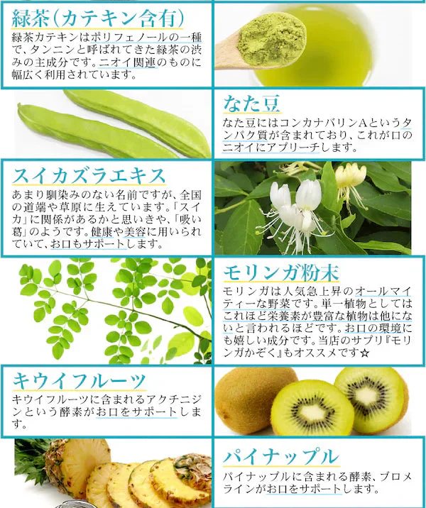 【大容量★約6ヶ月分】healthylife bless Tablet(ブレスタブレット)大容量 360粒 ニオイが気になる方のお口さわやかタブレット 口内 舌苔をケア 人と合う前に 食後に口臭 臭い お口ケア においケア 予防 エチケット タブレット 食後 起床後 口内 舌苔をケア 臭活サプリ 口臭予防 口腔ケア 体臭 加齢臭 対策 舌苔 臭い におい シャンピニオン ビフィズス菌 ラクトフェリン 緑茶カテキン スイカズラ パイナップル
