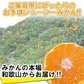 (10月下旬頃から順次発送の予約販売) みかん 2キロ 和歌山県 有田産 有田みかん