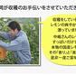 レモン 国産レモン 送料無料 2kg S～L  熊本県産 お取り寄せ 減農薬 防腐剤ワックス不使用 れもん グリーンレモン 国産