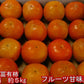 【11月上旬より順次発送予定】富有柿 訳あり 1箱(約5kg) S〜3Lサイズ 送料無料