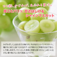 シャインマスカット 【山梨 笛吹市産】約1.2kg （2房） 1房 約500-700g 産地直送 高糖度 大粒 皮ごと ステビア農法 ぶどう マスカット 果物 フルーツ 冷蔵 ギフト 産直 敬老の日 お中元