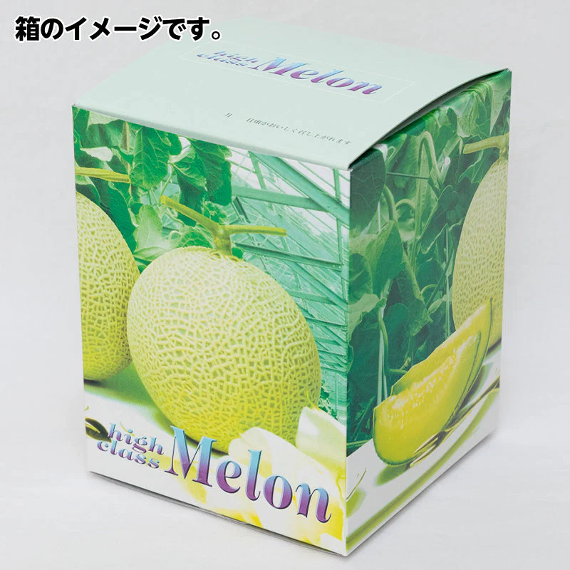 送料無料 敬老の日 お供え　国産 果物 プレゼント メロン 誕生日プレゼント 誕生日 お見舞 御礼 お祝 フルーツ ギフト 内祝 お返し 退院祝い 静岡産 マスクメロン 国産 手土産