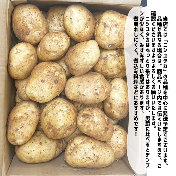 国産 新じゃが 約9kg 3Lサイズ 九州産他 ニシユタカ 新じゃがいも