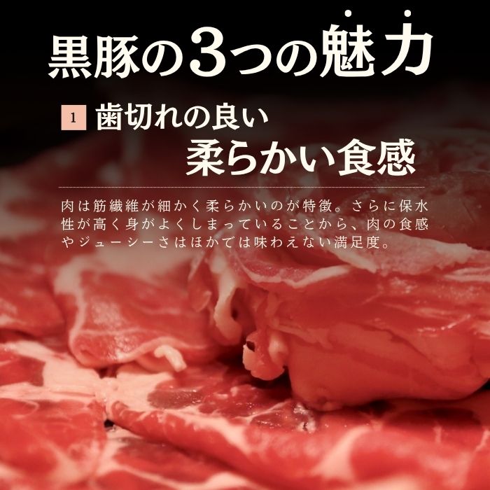 静岡県産 高級黒豚（バークシャー）小間肉（500g×2パック）