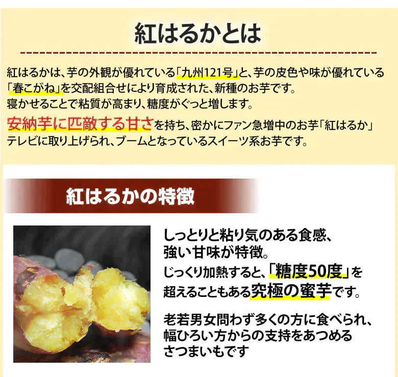 【10月中旬～下旬頃より順次出荷】さつまいも 紅はるか 訳あり 5kg 箱込（内容量4kg＋補償分500g) 送料無料 熊本・宮崎県産 お取り寄せ サツマイモ 紅蜜芋 焼き芋 芋 いも