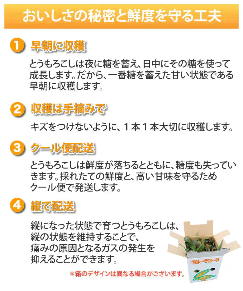 とうもろこし ゴールドラッシュ 送料無料 3.5～4kg 《クール便でお届け》 九州産 味来 極甘フルーツコーン スイートコーン 野菜