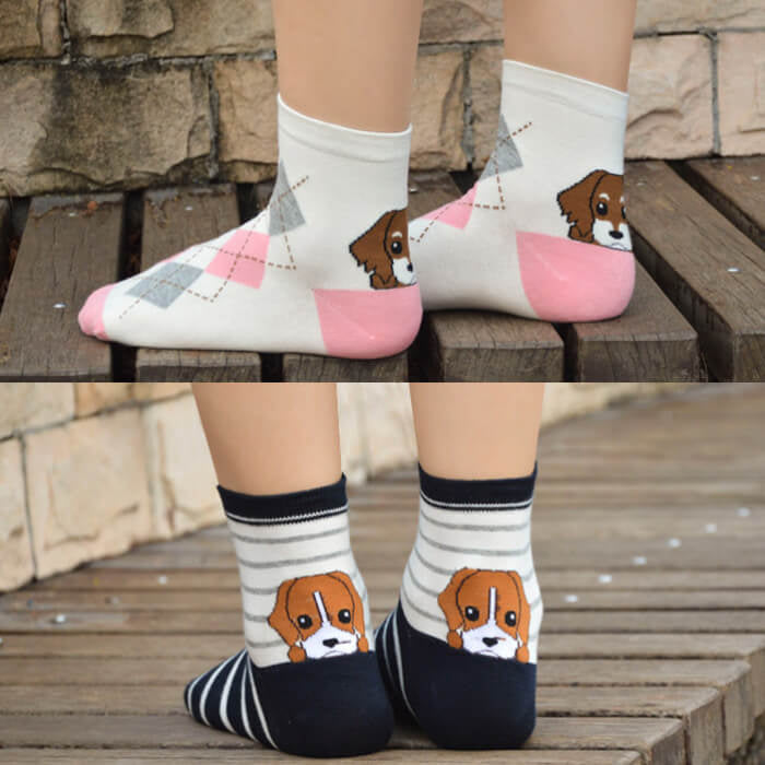 【予約商品・発送時期は商品説明に記載】犬 靴下 6足セット 犬柄 イヌソックス かわいい ボーダー ショートソックス いぬ 靴下 くつ下 ソックス カジュアル 人気 アーガイル 肉球 ランキング 春 夏 秋 冬 女性 レディース 子供 送料無料 ギフト プレゼント