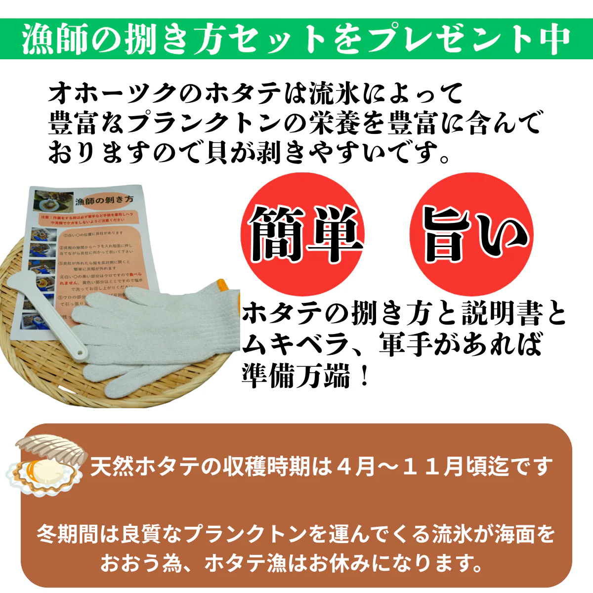 【殻付き・生きたままお届け】北海道産 活ホタテ1Kg