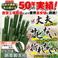 支柱 園芸 150cm 直径16mm 50本 イボ付 鋼管製 家庭菜園 グリーン イボ竹 国華園