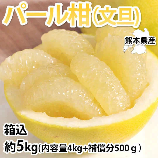 パール柑 5kg 箱込 (内容量4kg+不良果補償分500g)  文旦 みかん 送料無料 訳あり 無選別 サイズ混合 熊本県産 グレープフルーツ 蜜柑