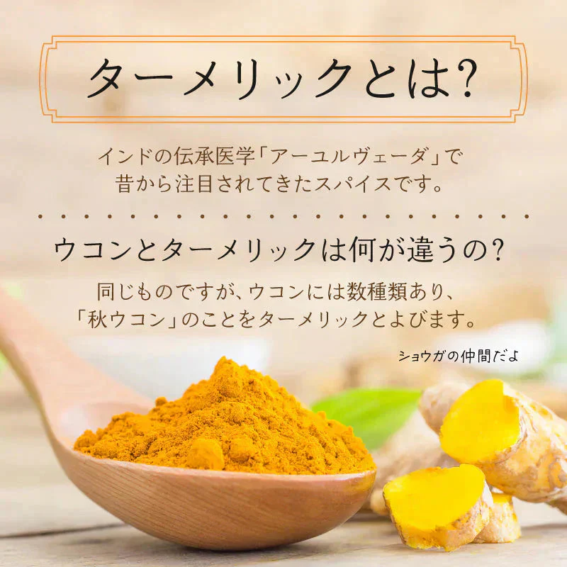 ターメリックパウダー 無添加 有機 ウコン スリランカ 300g 100g x3 ターメリック オーガニック 粉末 有機JAS認証 スパイス ハーブ セイロン