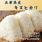 【白米】兵庫県産 キヌヒカリ 90kg(5kg×18袋) 精白米 国産 国産キヌヒカリ100％ 送料無料 精米工場からの直送品