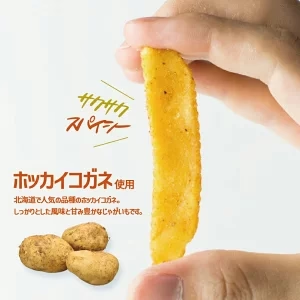 【北海道限定】北海こがね スープカレー味【6袋入×1箱】カルビー ポテト 新千歳空港  お土産