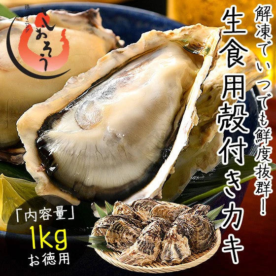 1kg（10個前後）牡蠣  生食用 殻付き