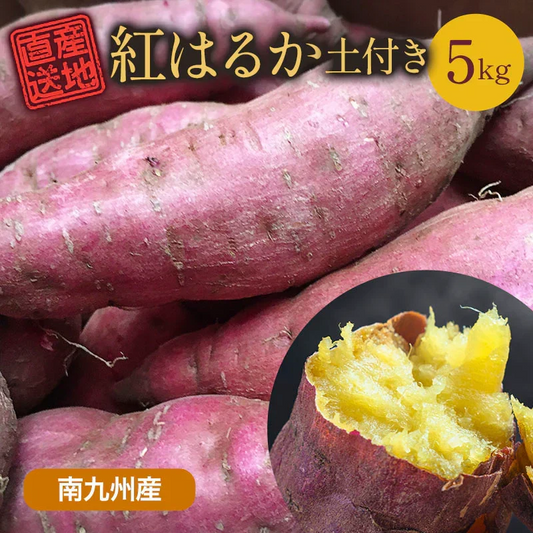 紅はるか さつまいも 5kg 産地直送 産直 土付き さつま芋 薩摩芋 焼きいも 焼き芋 石焼き芋 芋 いも イモ 南九州産  FJK-000