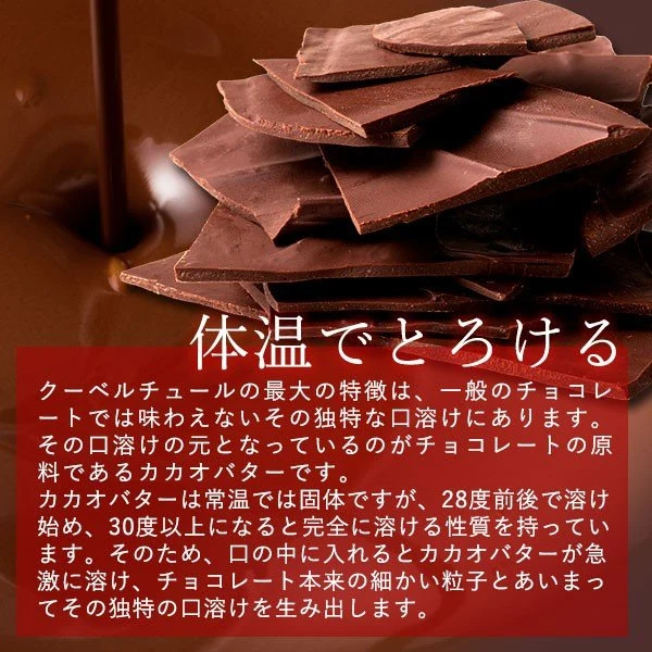 使用不可【超シェア買い祭】チョコレート チョコ 　訳あり スイーツ 割れチョコ 本格クーベルチュール使用 割れチョコ ショコラオレンジ 250g×2個セット 割れチョコレート 訳あり チョコ 業務用※配送時期：10月20日（火）以降、順次発送開始予定
