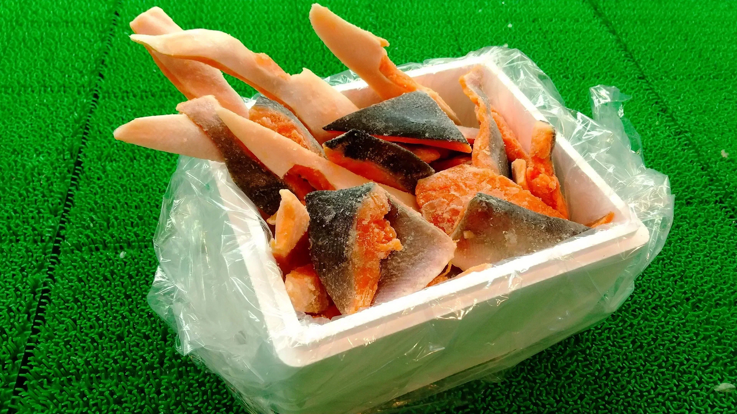 【水産仲卸直送】銀鮭の切り落とし　どどんと1.5kg！