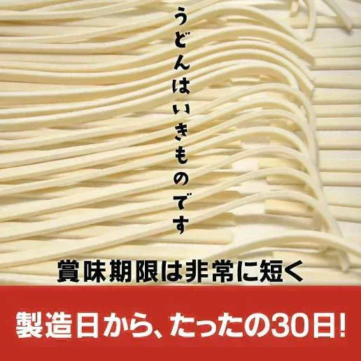 大容量 まとめ買い 3kg(300gx10袋）本場讃岐純生うどん 約30人前 製造直売 送料無料 特製つゆ付き しあわせ製麺 しあわせうどん