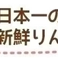 送料無料 青森県産 葉とらず ふじ ご家庭用約10kg ※11月下旬よりご予約順に発送※ 人気の訳ありリンゴ 家庭用 青森 青森産 訳あり サンふじ りんご 林檎 ふじ