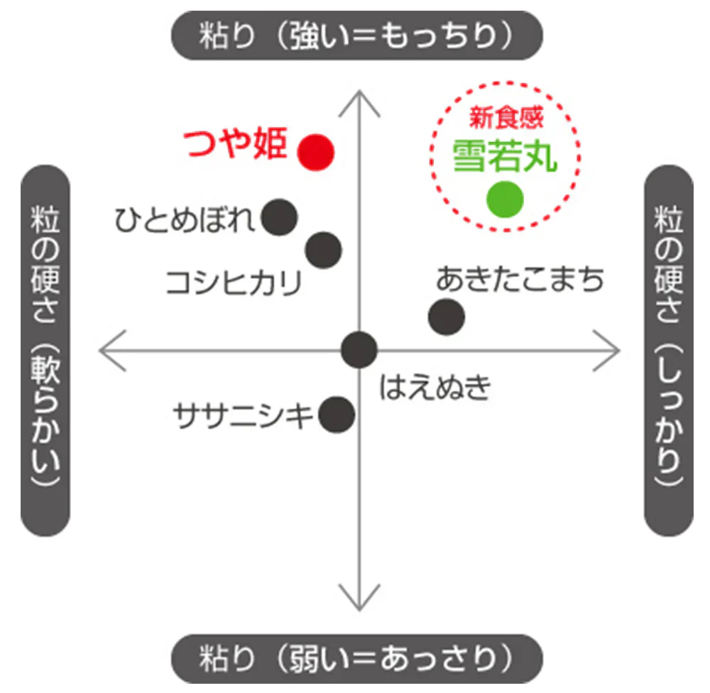 米 2kg 雪若丸 精米 山形県産 送料無料 令和6年産 ギフト 単一原料米 ブランド米 こめ コメ 白米 産地直送 kkb-004
