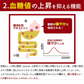 脂肪の吸収を抑える炭酸水 ぷらすの炭酸水 500mlPET×24本[脂肪 糖 整腸][機能性表示食品][賞味期限：1ヶ月以上]【1〜2営業日以内に出荷】【送料無料】強炭酸水 割材 ソーダ ダイエット