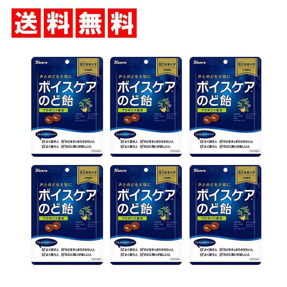 カンロ ボイスケアのど飴 563g×6袋セット  大容量パック