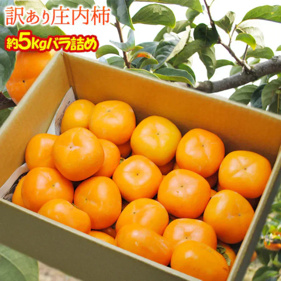 【11月上旬-下旬頃ご注文受付順次】訳あり庄内柿バラ詰め5kg前後　種なし柿を産地直送でお届け！ご家庭用にちょっと訳あり柿