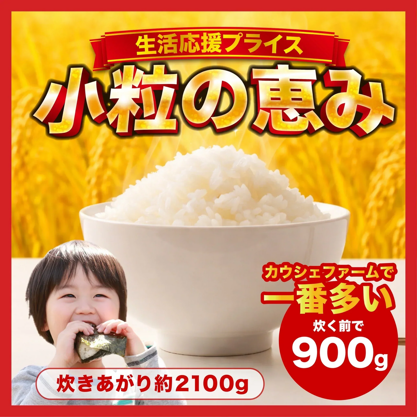 【お届けまで約3週間】【小粒の恵み】【小粒米】たっぷり900g 近江米 カウシェファームの贅沢米で１番多い！【カウシェファーム収穫対象商品】