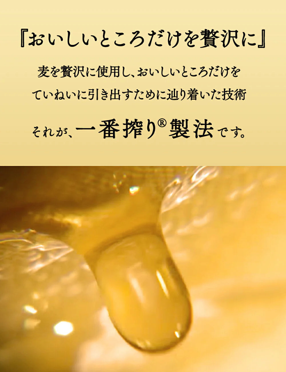 【送料無料】キリン 一番搾り 500ml×48本(2ケース) 【北海道・東北・四国・九州地方は別途送料が掛かります。】
