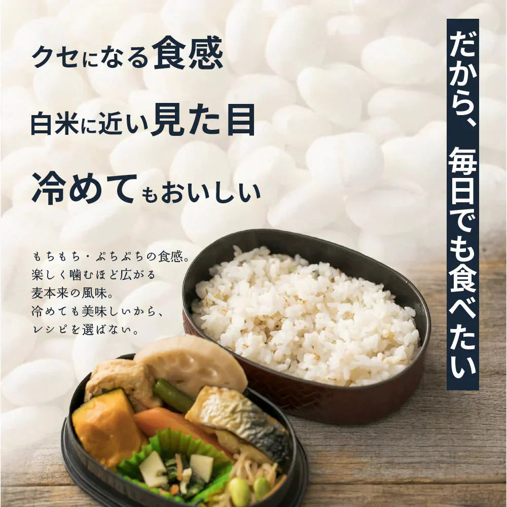 雑穀 雑穀米 国産 麦５種ブレンド 1.6kg(400g×4袋) [丸麦/押麦/はだか麦/もち麦/はと麦] 無添加 無着色 人気サイズ 送料無料
