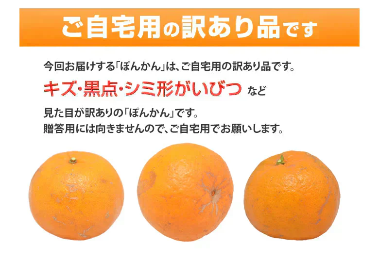 ポンカン 10kg 訳あり 送料無料 箱込 (内容量9kg+不良果補償分500g) 無選別 みかん 熊本県産 デコポン 蜜柑