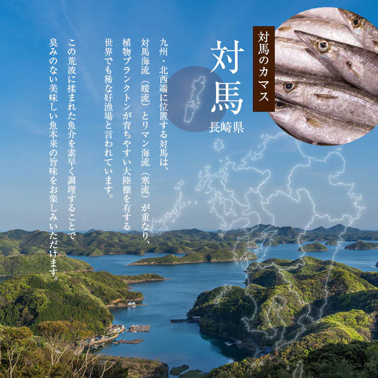 骨まで食べられる 焼き魚 かます 干物 約50g×2枚