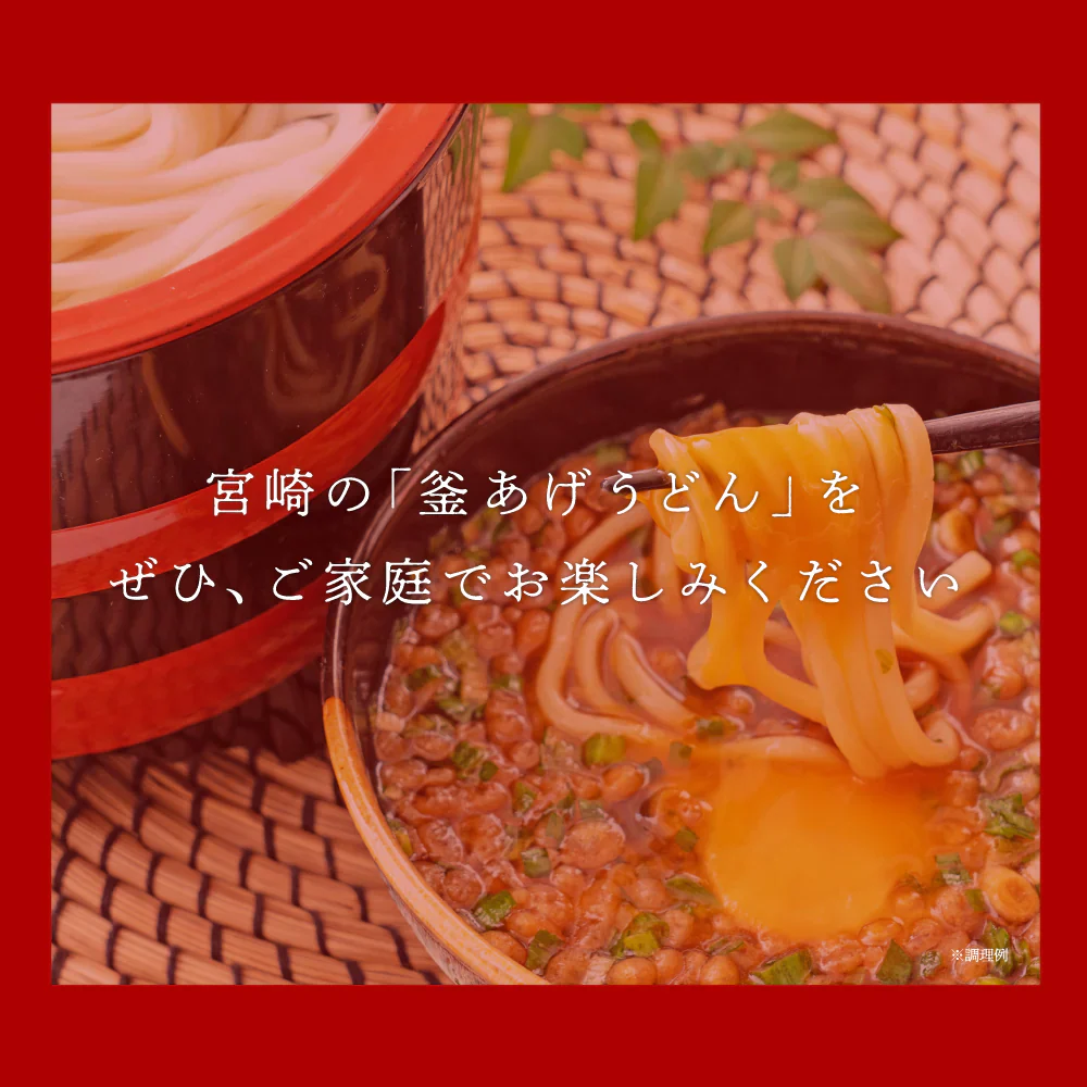 宮崎 釜あげうどん 6食 送料無料 つゆ・薬味付き ご当地うどん 食品 ご当地グルメ 産直 お試し 取り寄せ