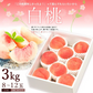 【8月中旬頃-9月中旬頃ご注文受付順次】白桃 約3kg 8-12玉前後 もも モモ 桃 ピーチ 山形産 お中元 ギフト 贈答