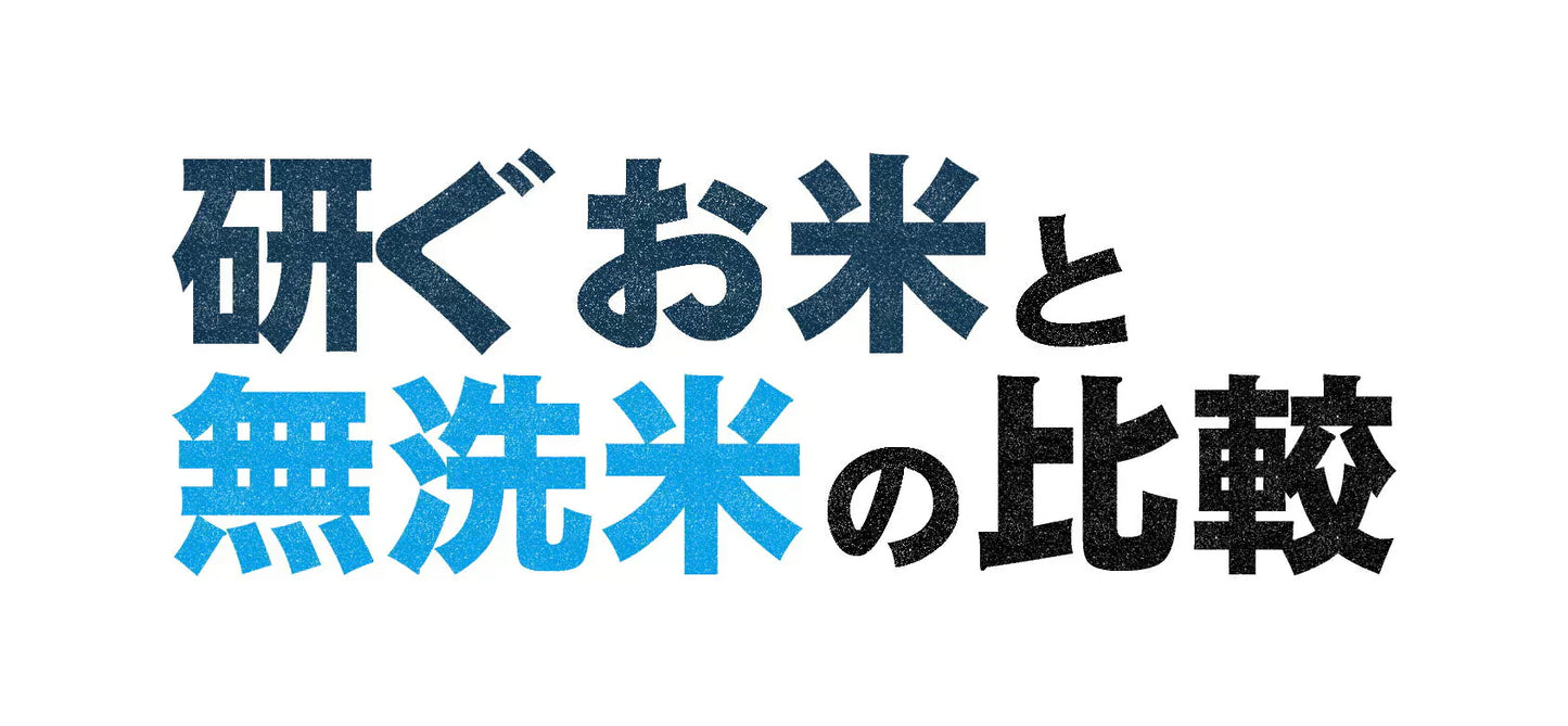 無洗米 おためし 345g 送料無料 米 無洗米 送料無料 キャンプ飯 簡単手間なし カンタン 便利
