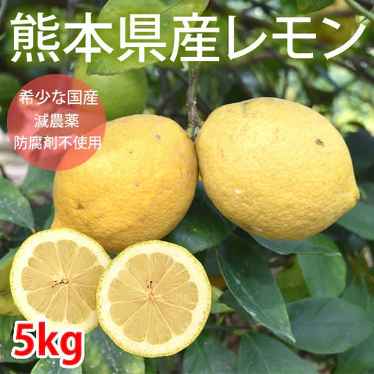 レモン 訳あり 国産レモン 送料無料 5kg 熊本県産 減農薬 防腐剤ワックス不使用 れもん グリーンレモン 国産