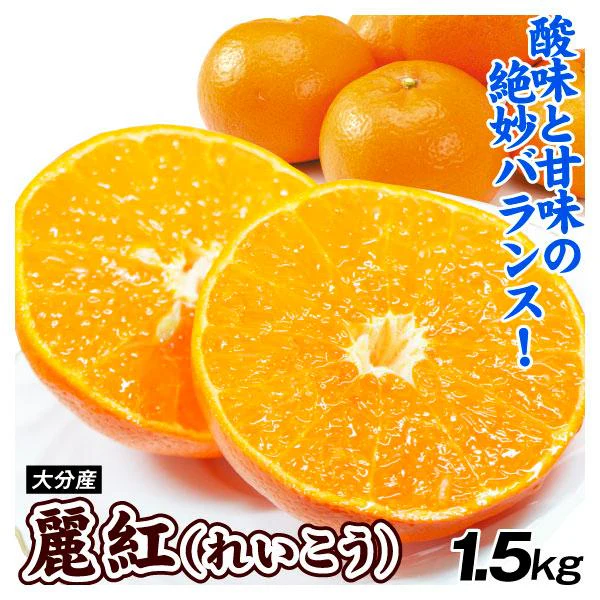みかん　大分産　麗紅　1.5kg　ご家庭用（発送予定：2025年2月下旬より）
