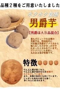 岩手県産 じゃがいも 10kg 無農薬栽培 男爵